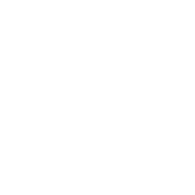 An outline of a circle.